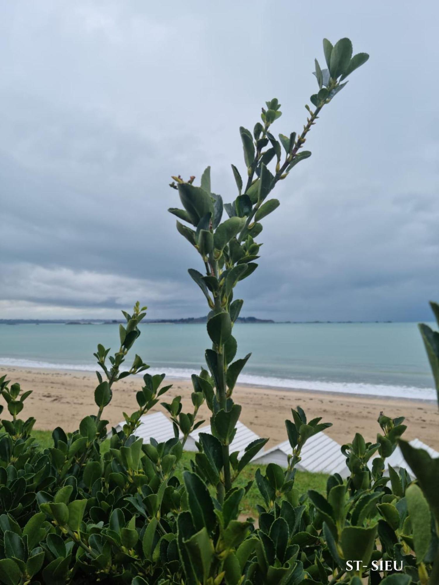 דינאר Brise Marine Du Prieure Spacieux Lumineux A 2 Min De La Plage מראה חיצוני תמונה